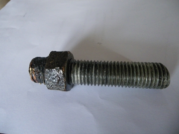 IMGP1480