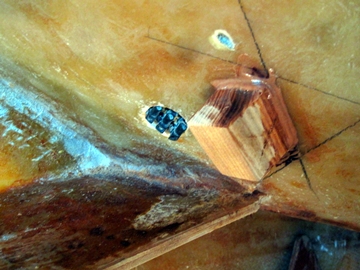 IMG 0622360