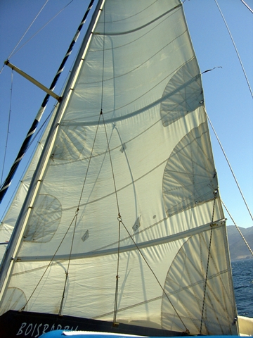 ogv1